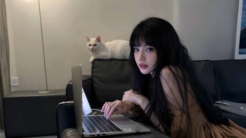 居家沙发上用电脑的少女与白猫