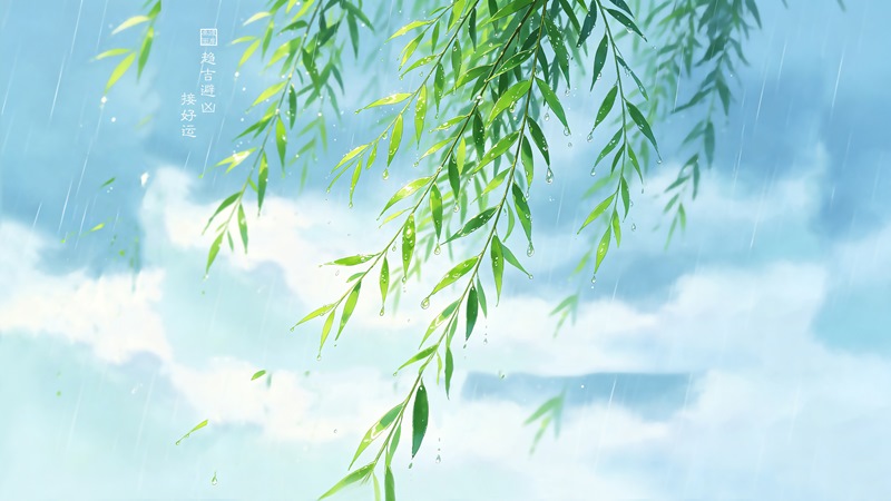 雨天柳叶壁纸 趋吉避凶接好运清新风景